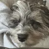 Braxton - @braxton.kerry - TikTok
