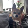 kerrybrett329 - @kerrybrett329 - TikTok