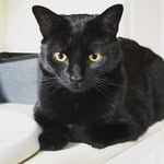 Kerry Brophy - @kerryb2085 - Instagram