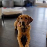 Kerry Brough - @i.go.into.the.forest - Instagram