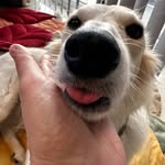 Kerry Buck - @kerrybuckartist - Instagram