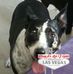 Kerrie Burrell - Facebook
