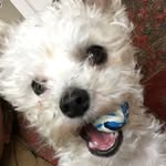 Kerri Hedley-Cheney - @26legs - Instagram