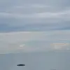 Kerry Chou - @kerry.chou - TikTok