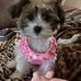 Kerry Chubb - Facebook