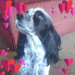 Kerry Cook - @kerry.cook.3152 - Instagram