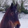 kerrycooley646 - @kerrycooley646 - TikTok