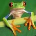 Kerry Coyle - Facebook