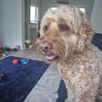 Kerry Crowley - @kezabell123 - Instagram