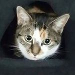 Kerry Curtin - @k_curtin - Instagram