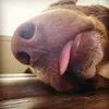 Kerri Darby - @kerridarby2 - TikTok