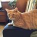 Kerry Daugherty - Facebook