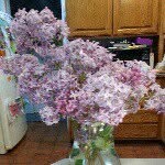 @kerrydaugherty74 - Instagram