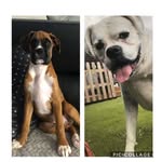 Kerry Denny - @kerrydenny66 - Instagram