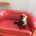 Kerry Devine - @kerry.devine.39 - Instagram