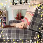 Kerry Devine - @kerrydevine99 - Instagram