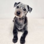 Kerry Doran - @kezdoran2668 - Instagram