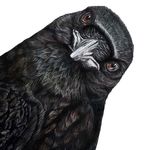 Kerry Doran - @kerrydoranart - Instagram