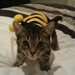 Kerry Downs - @kerrydowns55 - Instagram