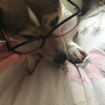 Kerry Egan - @kerryegan07 - Instagram