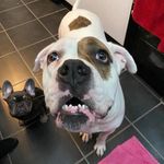 Kerry Emery - @sweetcheekboo - Instagram
