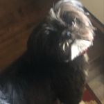 Kerry - @kerryerbst - Instagram