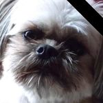 Kerry Erickson - @l.k.boutique - Instagram