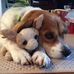 Kerry Erickson - Facebook