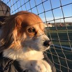 Kerry Erickson - @kerry.erickson6911 - Instagram