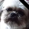 kerryerickson7 - @kerryerickson7 - TikTok