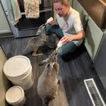 Kerry Ervin - @kerry.ervin.52 - Instagram