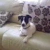 eugenecorkerry - @eugenecorkerry - TikTok