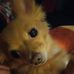 Kerri Everett - Facebook