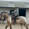 kerryfair - @kerryfair - TikTok