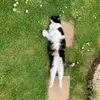 kerryfairhead363 - @kerryfairhead363 - TikTok