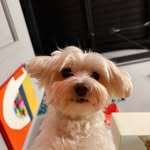 Kerry Flinn - @flinnhead - Instagram