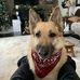 Kerry Fraser - Facebook