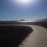 Kerry Fraser - @fluro_flamingo - Instagram