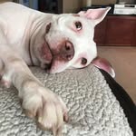 Kerry Goochie Fredericks - @frederickskerry - Instagram