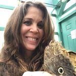 Kerry Friedman - @kerryschair - Instagram