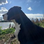 Kerry Gale - @citycuts177 - Instagram