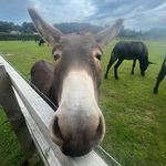 Kerry Gale - @kerrymmgale - Instagram
