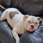 Kerry Gale - @kerry67417 - Instagram