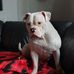 Kerry Gale - Facebook