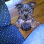 Kerry Garrison - @kerry.garrison.92 - Instagram