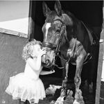 Kerry-ann Gibbons - @kerrygibbons_dressage - Instagram
