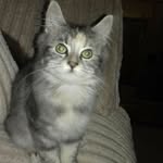 Kerry Gore - @kerry.gore.77964 - Instagram