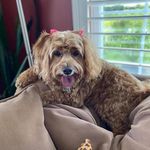 Kerry Gore - @kerry.gore.908 - Instagram