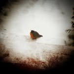 Kerry Gould - @david3427 - Instagram