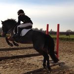 Kerrie Greenfield - @kerriegreenfield - Instagram